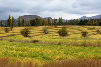 Roadside view on route to Fouriesburg, Free State
